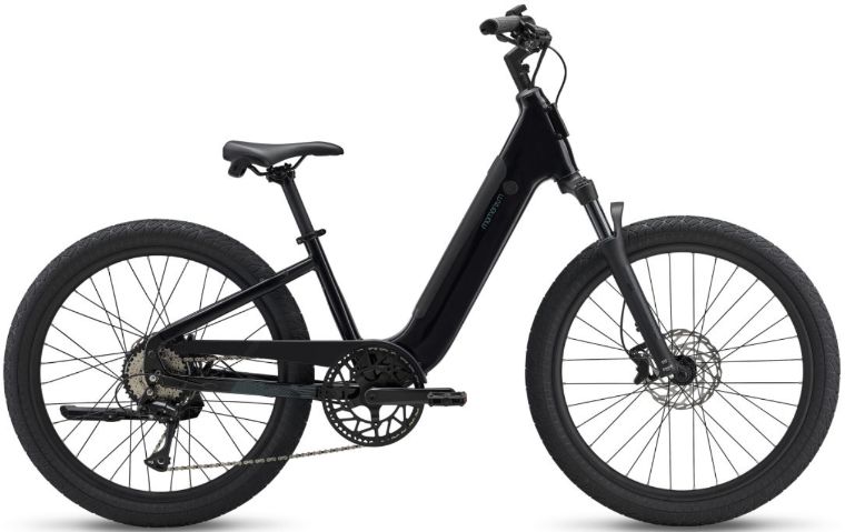 Momentum Vida e+ Low Step
